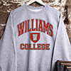 College Sports Grey Adult Sweatshirt ALT1 Thumbnail