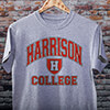 College Sports Grey Adult T-Shirt ALT1 Thumbnail