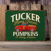 Pumpkins NA Tin Sign 16 x 12.5 ALT1 Thumbnail