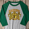 Irish Crest Sports Grey/Dark Green Adult Raglan 3/4 Sleeve T-Shirt ALT1 Thumbnail