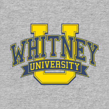 Sports Grey Classic University Personalized T-Shirts 